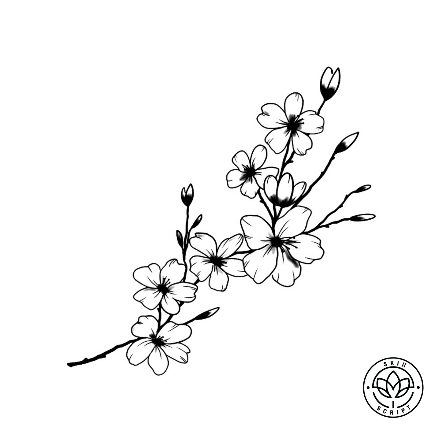 Fleeting Beauty